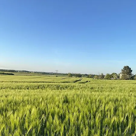 Σπίτι διακοπών Idyllisches Ferienhaeuschen Am