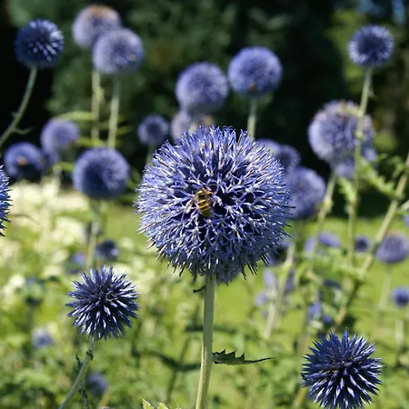 Σπίτι διακοπών Idyllisches Ferienhaeuschen Am *