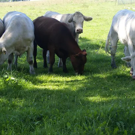 Idyllisches Ferienhaeuschen Am