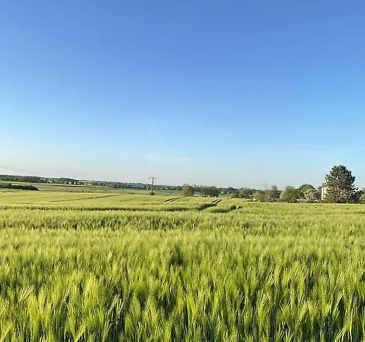 Semesterbostad Idyllisches Ferienhaeuschen Am