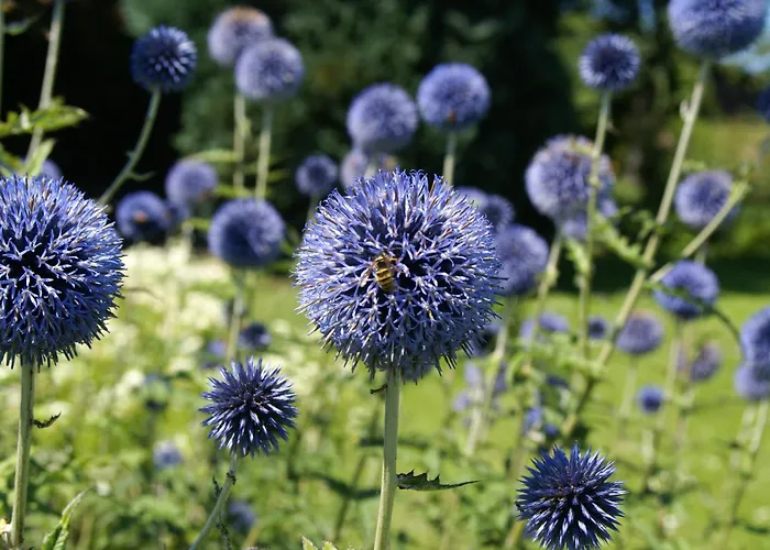 Semesterbostad Idyllisches Ferienhaeuschen Am *