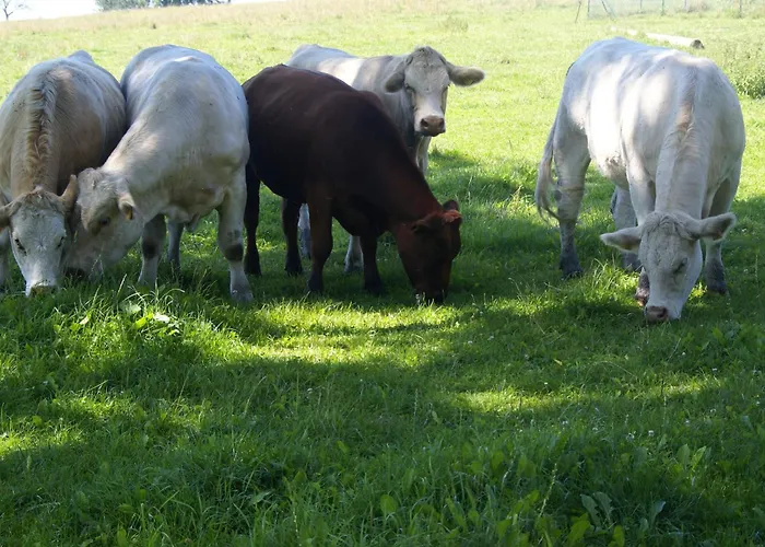 Idyllisches Ferienhaeuschen Am